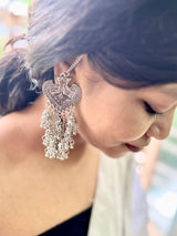 Sarva Oxidised Tail Drop Earrings